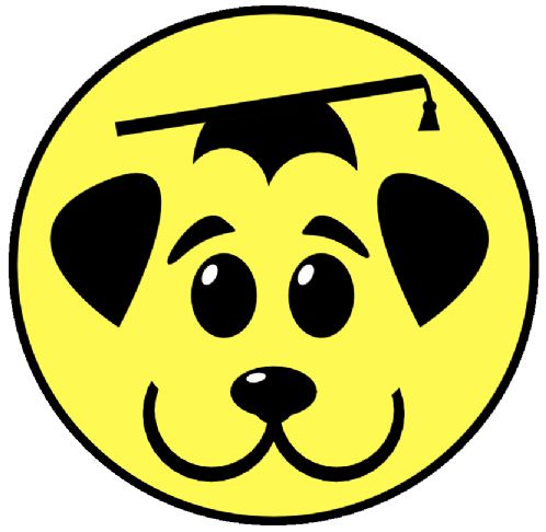 Hundepass, lufting, trening