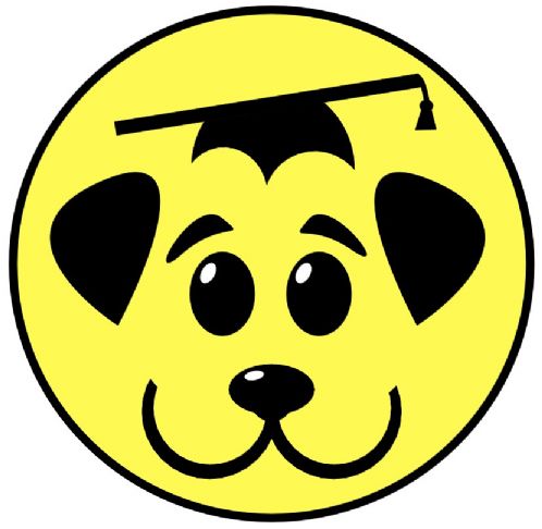 Hundepass, lufting, trening