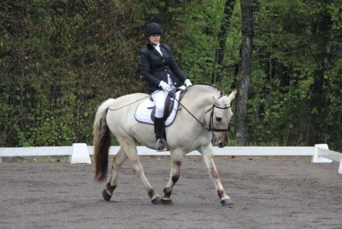 Ridetimer trøgstad