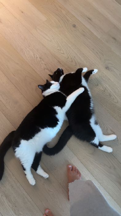 Omplassering n�mmen og prins