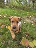 Bella1008465039s�ker ett trygt